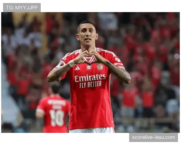 尼斯球员状态火热，联赛连胜点燃复苏希望