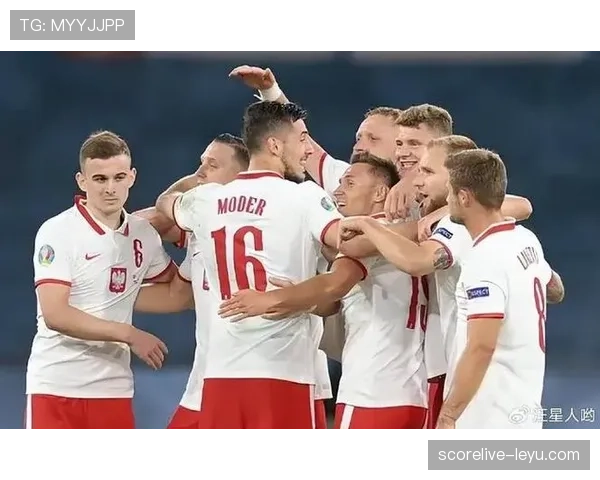 欧洲杯多国主力伤退，球队战斗力遭重创