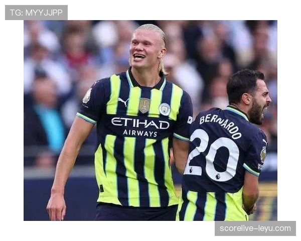 莱万多夫斯基国家队个人表现与荣誉困境解析 莱万多夫斯基国家队个人表现与荣誉困境解析